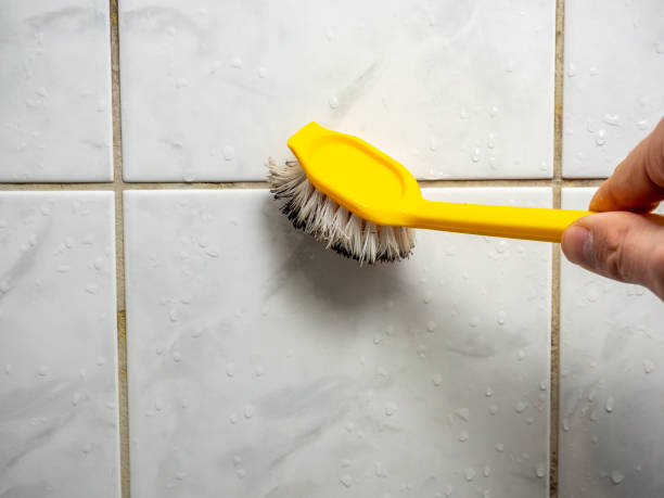 Best Mold Remediation  in Justin, TX