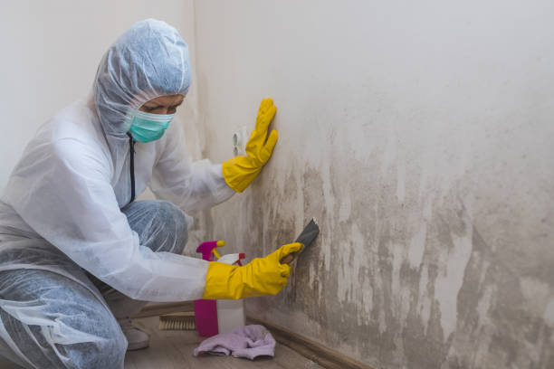 Best Crawl Space Mold Removal  in Justin, TX