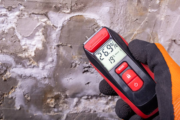 Best Professional Mold Removal  in Justin, TX
