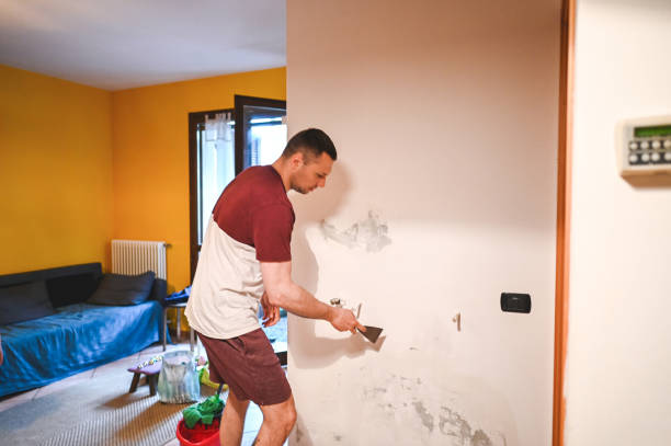 Best Attic Mold Removal  in Justin, TX