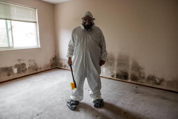 Mold Removal and Inspection in Justin, TX